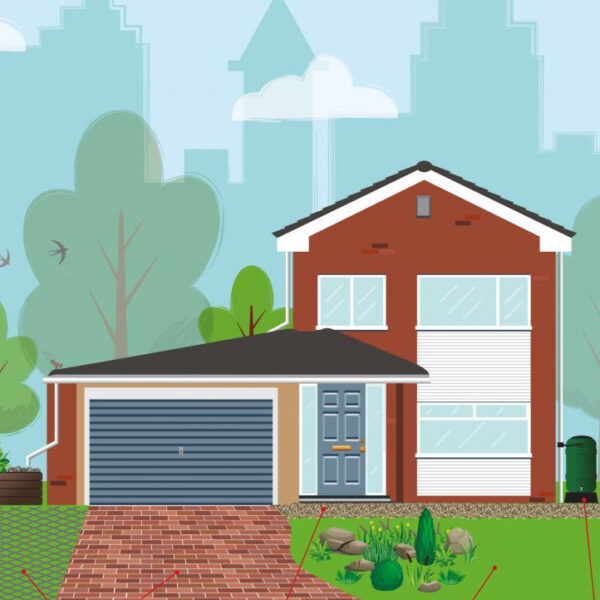 A greener garden could mean less sewage entering our rivers