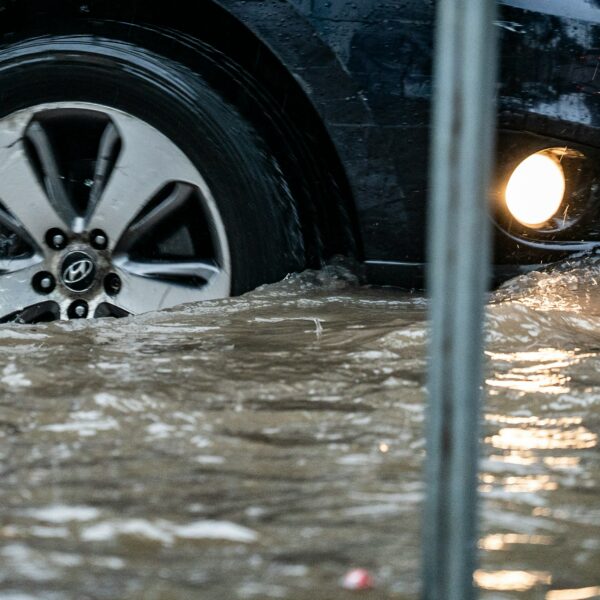 “Please Don’t Make It Worse”: PRESS RELEASE